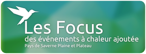 Les Focus