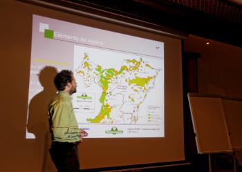 Les ressources bois en alsace